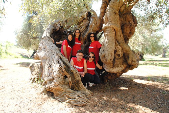 Bike oil tour in Monopoli - The Ride Through Monopoli’s Olive Country: Farms, Sheep Tracks, and Old Trees