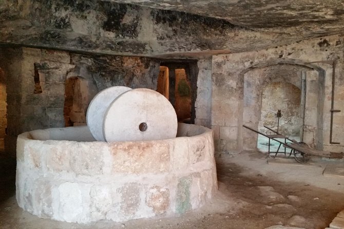 Bike oil tour in Monopoli - Group Size, Pacing, and Who This Tour Feels Best For