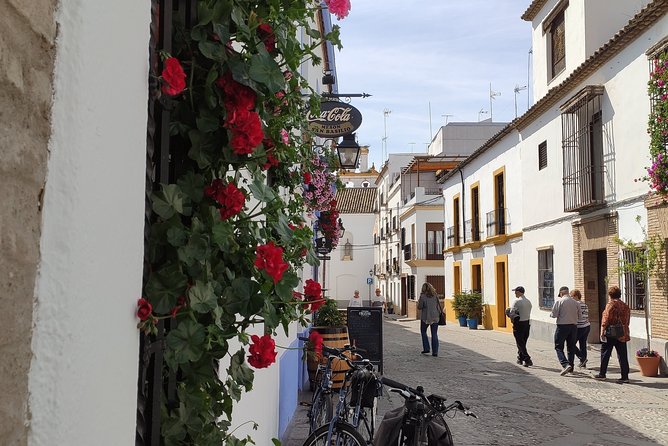 Bike Tour Córdoba - San Basilio patios quarter: the Córdoba you can’t Google fast enough