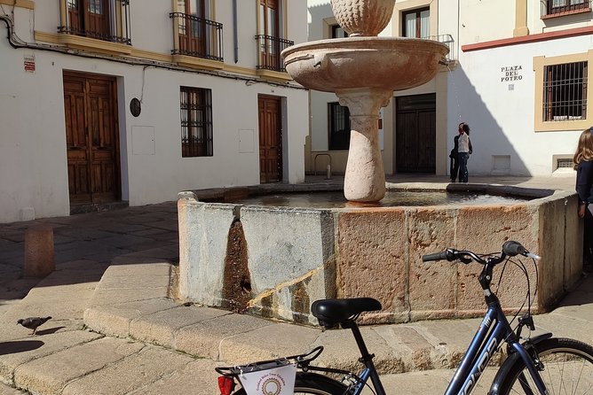 Bike Tour Córdoba - Plaza del Potro and Plaza de la Corredera: the city’s living rooms