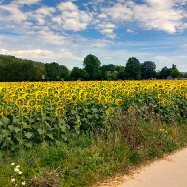Bike tour from Vernon to Giverny with local guide - Who this bike tour is perfect for