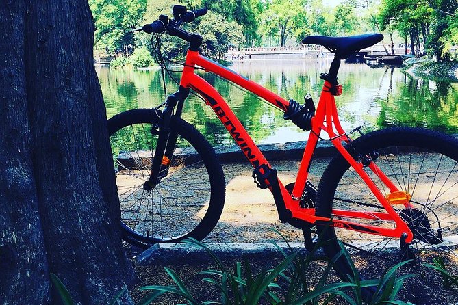 Bike Tour in Mexico City - Why Bike Chapultepec Forest Works Better Than Rushing on Foot