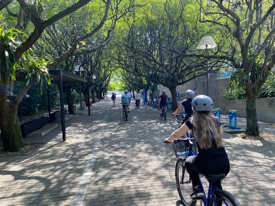 Bike Tour Medellin with Snacks and Local Beer - Plaza Botero: culture stop with easy pacing