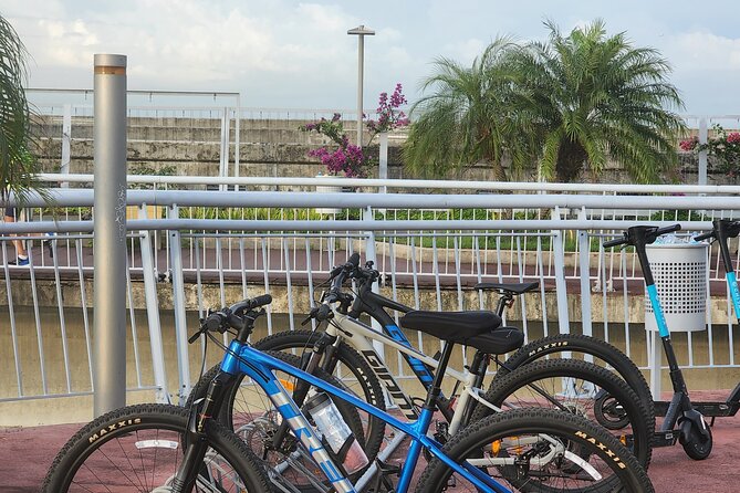 Bike Tour Panamá City and the Old Town - A French memorial tied to the Canal story