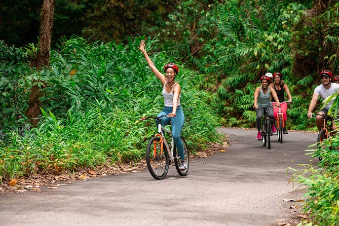 Blue Mountain Bicycle Tour - Key Things I’d Put at the Top