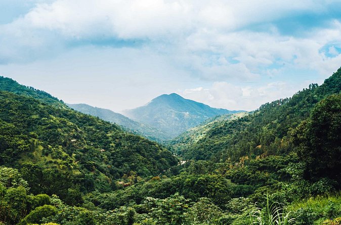 Blue Mountain Bicycle Tour - Lunch and the Waterfall Dip: The Best Way to Finish a Bike Day