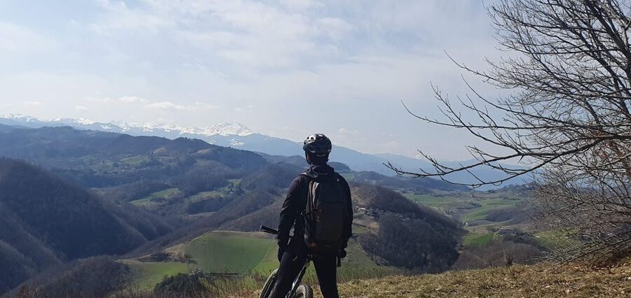 Bologna: E-Bike Guided Tour with Aperitivo - Who This Tour Suits Best (And Who Might Skip It)