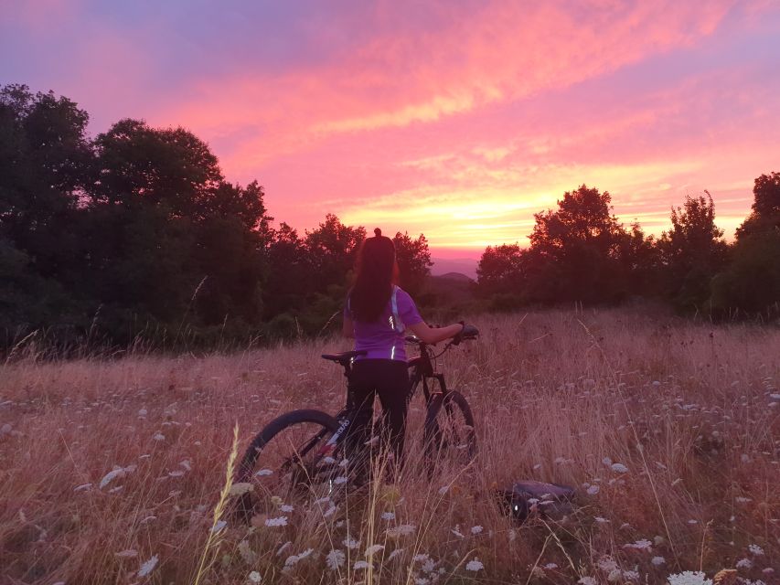 Bologna: E-Bike Guided Tour with Aperitivo - Weather Flexibility: When Bologna’s Forecast Changes