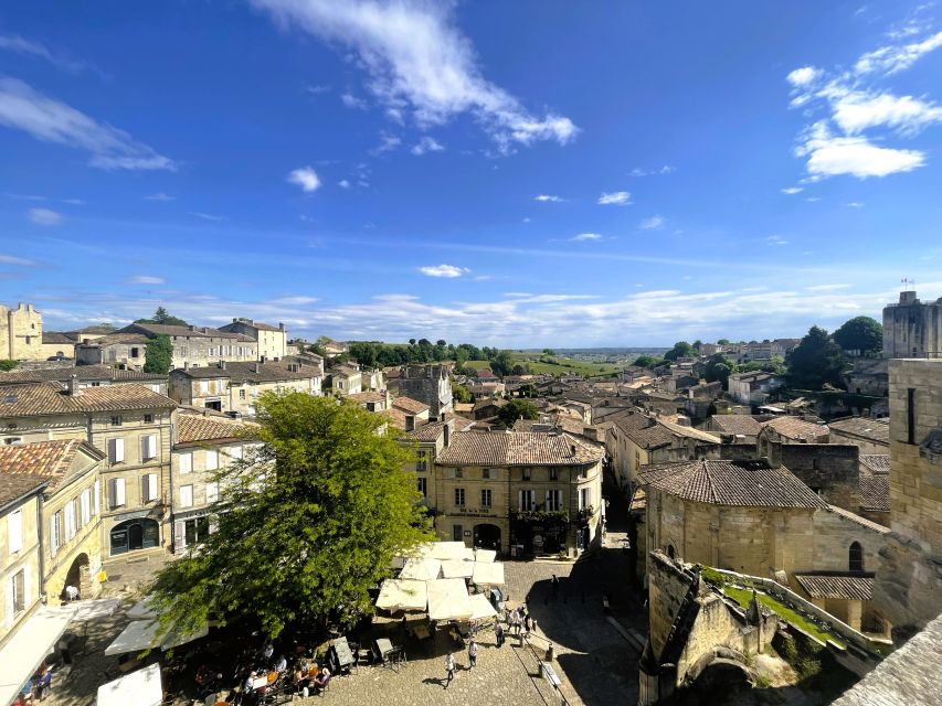 Bordeaux: St-Emilion Vineyards e-Bike Tour with Wine & Lunch - The Vineyard Ride: 15 Km of Grape Rows and Famous Neighborhoods
