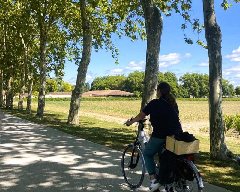 Bordeaux: St-Emilion Vineyards e-Bike Tour with Wine & Lunch - Chateau Stop #1: A Classified Estate Feeling, Without the Rush