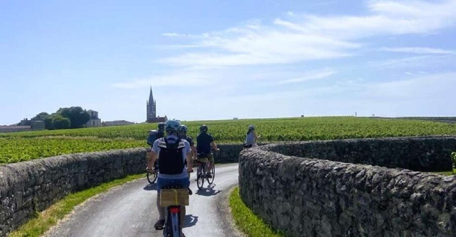 Bordeaux: St-Emilion Vineyards e-Bike Tour with Wine & Lunch - Getting From Bordeaux to the Vineyards: The 50-Minute Van Ride