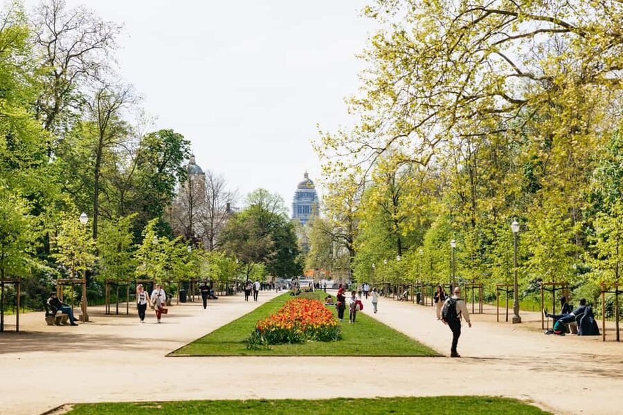 Brussels: City Highlights and Hidden Gems Bike Tour - Safety, comfort, and the reality of riding in Brussels