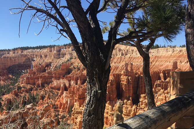 Bryce Canyon E-bike Tour - How hard is the ride, really? E-bike effort and expectations