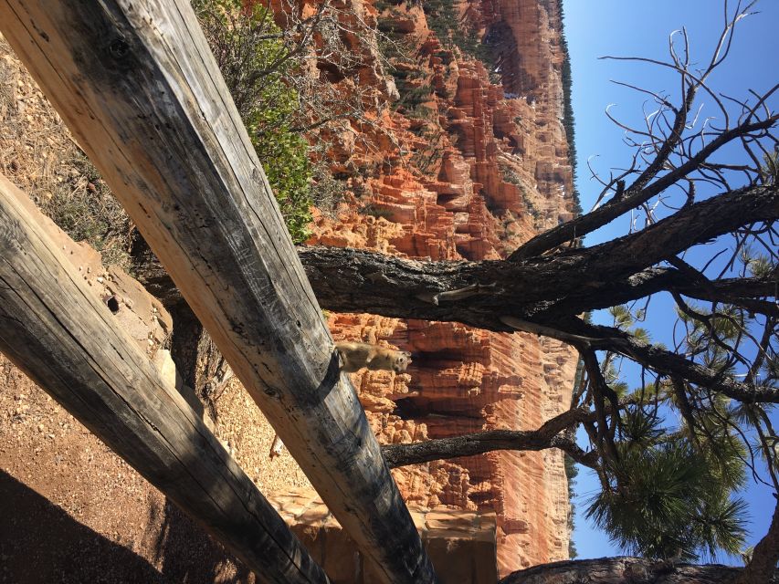 Bryce Canyon National Park: Guided E-Bike Tour - FAQ