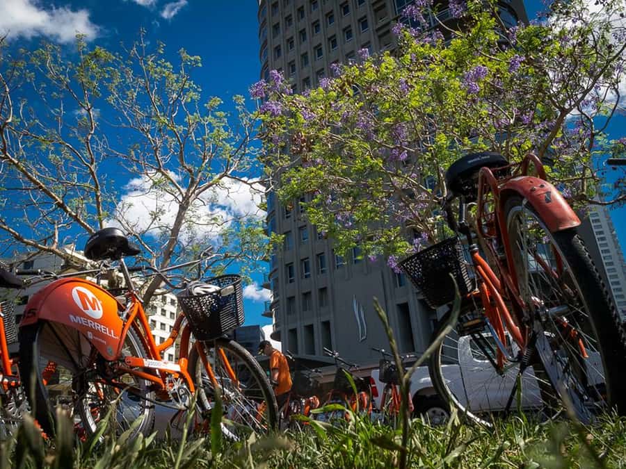 Buenos Aires Bike Tour: South or North Circuit - Your bike setup: beach cruisers, helmets, and real street conditions