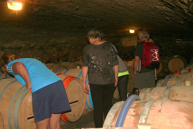 Burgundy Bike Tour with Wine Tasting from Beaune - Getting to the start: Beaune at 9:30 and a hilltop briefing