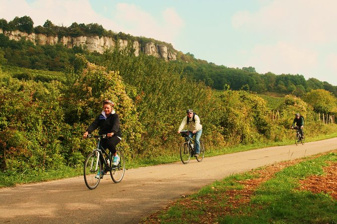 Burgundy Bike Tour with Wine Tasting from Beaune - Domaine Famille Picard: 14th-century cellars and three wines