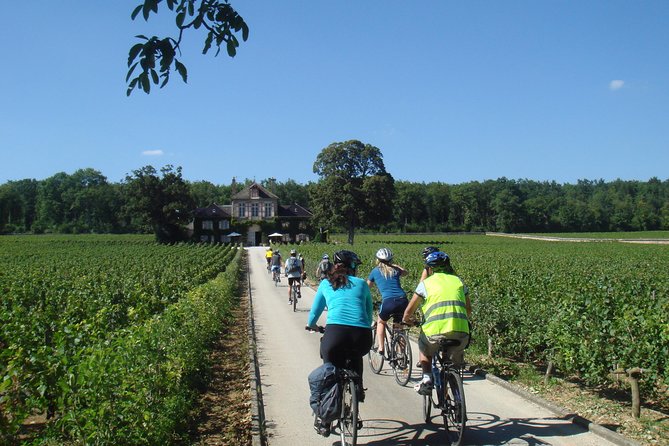 Burgundy Bike Tour with Wine Tasting from Beaune - The midday lunch at Puligny-Montrachet: refuel without derailing the day
