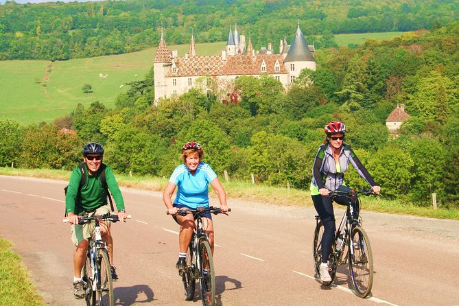 Burgundy Bike Tour with Wine Tasting from Beaune - Afternoon tasting near Pommard, Volnay, or Meursault