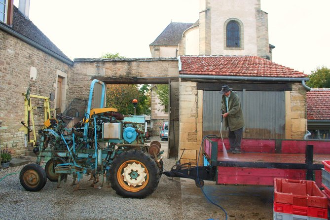 Burgundy Bike Tour with Wine Tasting from Beaune - The guide makes it: wine and vineyard history you can use