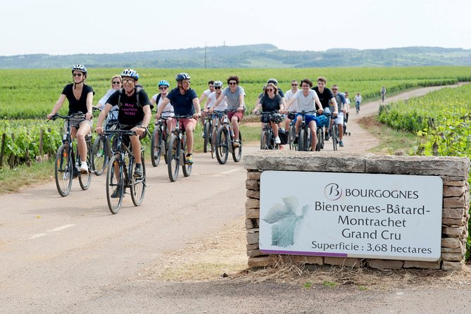 Burgundy Bike Tour with Wine Tasting from Beaune - Transfers, timing, and what the day really feels like