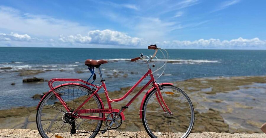 Cadiz: City Bike Tour - What You Actually Get: Bike, Map, Insurance, and a Real Guide
