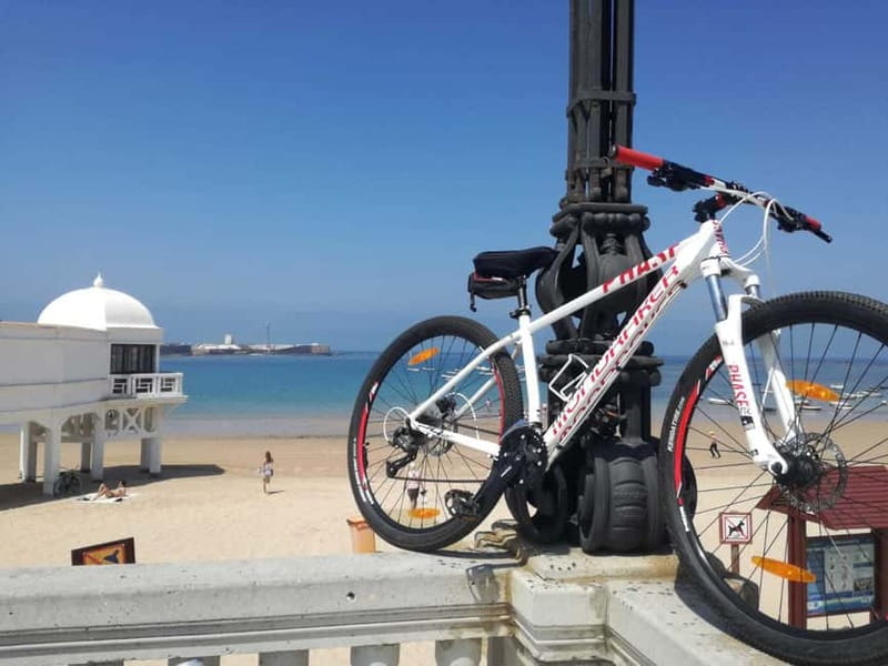Cádiz: Guided Bike Tour - Old Town narrow lanes and quick monument photo stops