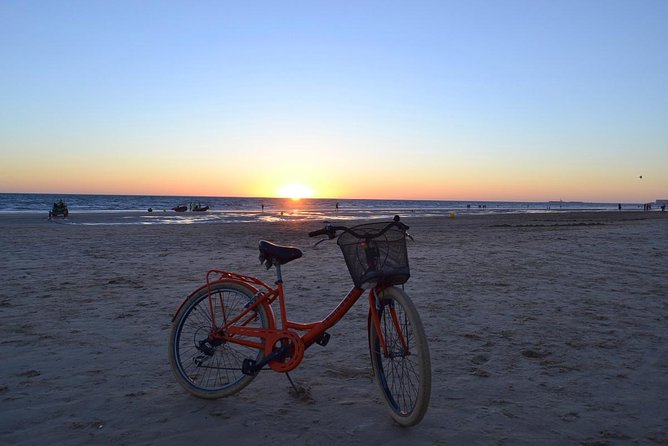 Cadiz Small Group Bike Tour - Teatro Romano de Cádiz: ancient ruins with a real-life timing twist