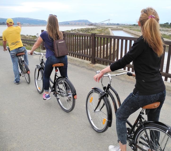 Cagliari: Bike Tour in the Flamingo Oasis - Molentargius Natural Park: Salt-Pond History in Real Time