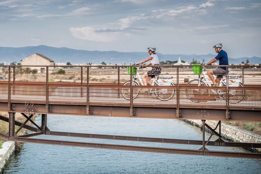 Cagliari E-Bike Tour: Canals & Flamingos at Molentargius - Key highlights worth picking up