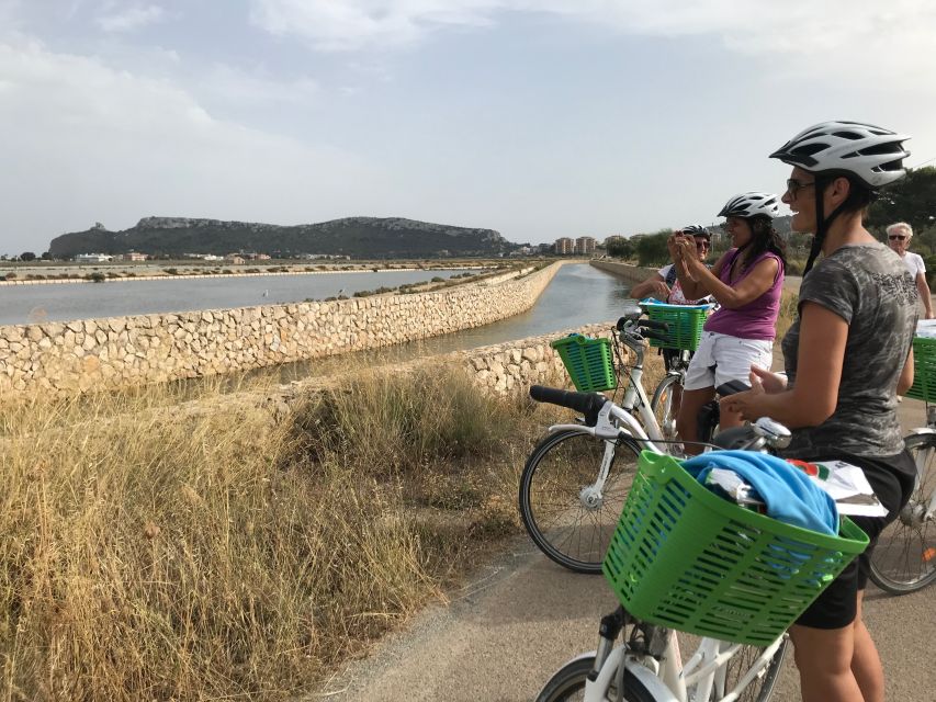 Cagliari E-Bike Tour: Canals & Flamingos at Molentargius - Heat and season tips: August can change your plans fast