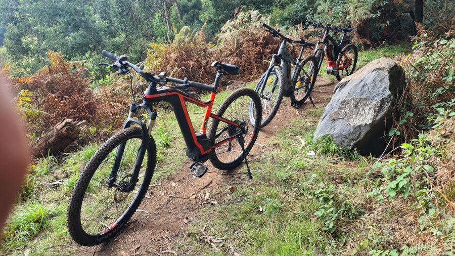 Camacha: Levada Trail e-Bike Guided Tour - Key things to know before you go