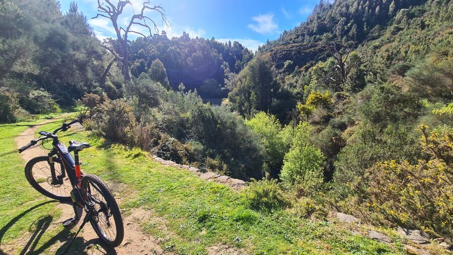 Camacha: Levada Trail e-Bike Guided Tour - Who this tour fits best (and who should skip it)