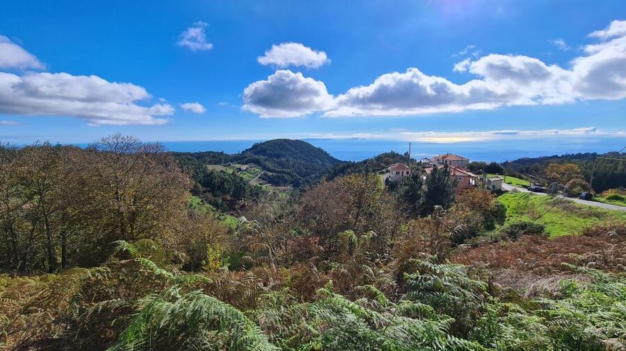 Camacha: Levada Trail e-Bike Guided Tour - The levada ride through eucalyptus and the UNESCO laurel forest