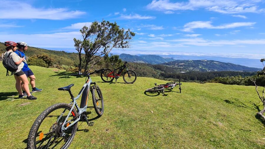 Camacha: Levada Trail e-Bike Guided Tour - Pickup, the van transfer, and getting comfortable on the e-bike