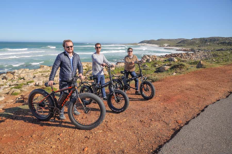 Cape Town: E-Bike Cape Peninsula Tour - Cape Peninsula on an e-bike: why the day feels easy