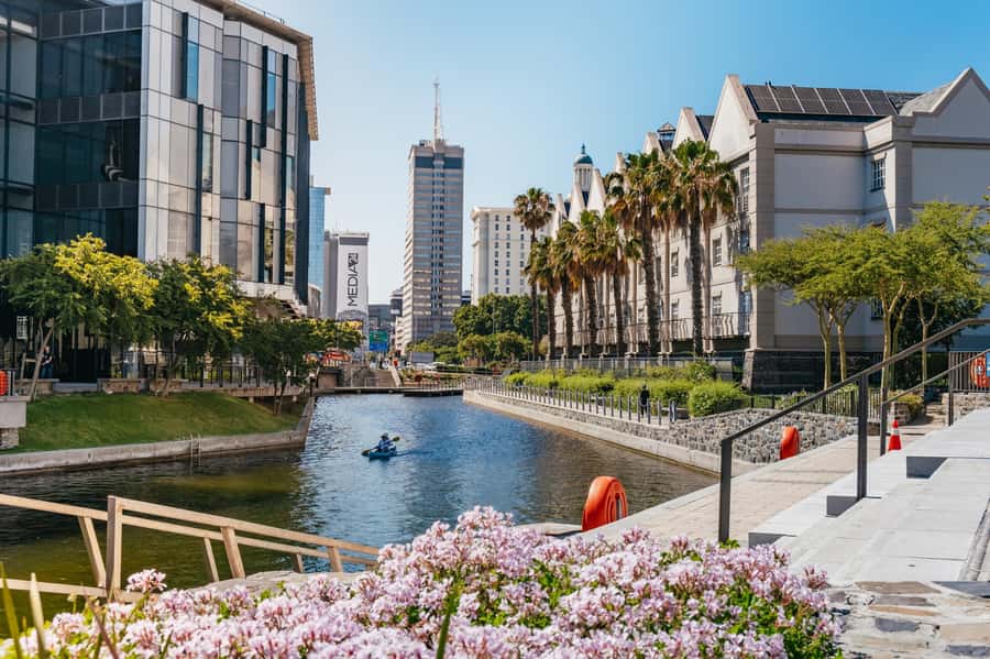 Cape Town: Guided Bike Tour - Company Gardens, mall stroll energy, and the World Cup-era Green Point vibe