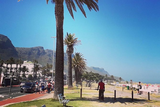 Cape Town's Finest City Bike Tour - Greenpoint Urban Park and DHL Stadium: a sports-meets-city green ride