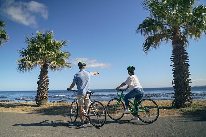 Cape Town's Finest City Bike Tour - V&A Waterfront finish: an easy landing into more plans
