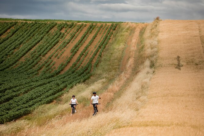 Castiglion Fiorentino - eBike tour in the tuscan countryside - What the guide actually brings: pace, safety, and real information