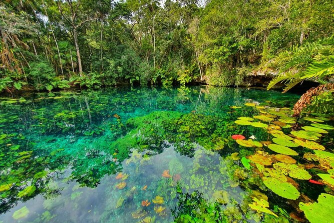 Cenotes trail jungle bike tour in Tulum with lunch - Pedaling From Tulum Into the Jungle: What the Bike Time Actually Feels Like