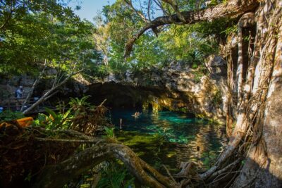 Cenotes trail jungle bike tour in Tulum with lunch - Two Options: 2 Cenotes With Lunch vs 3 Cenotes With Zip Lines and Canoe