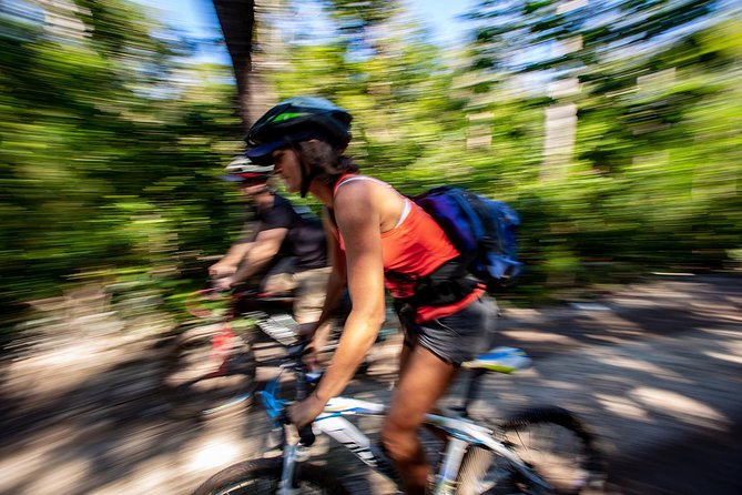 Cenotes trail jungle bike tour in Tulum with lunch - Jungle Lunch With Canopy Views (and Why It’s a Big Deal)