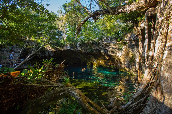 Cenotes trail jungle bike tour in Tulum with lunch - Two Options: 2 Cenotes With Lunch vs 3 Cenotes With Zip Lines and Canoe
