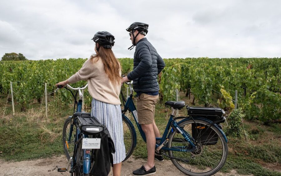 Champagne: E-Bike Champagne Day Tour with Tastings and Lunch - What the tastings teach you (beyond the label)