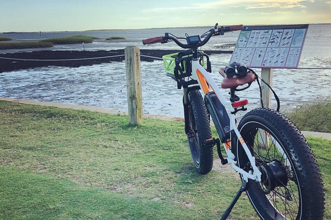 Charleston Shores Guided eBike Tour - Shem Creek Park: Shrimp Boats, Water Traffic, and Wildlife Chances