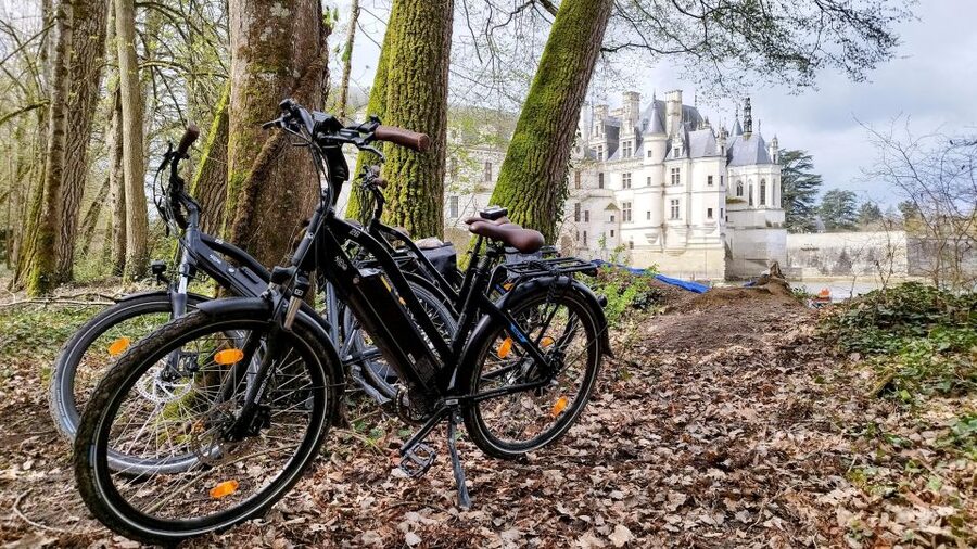 Chenonceau: E-Bike Guided Tour & Gourmet Picnic Lunch - Bourré and Montrichard stops: villages with personality