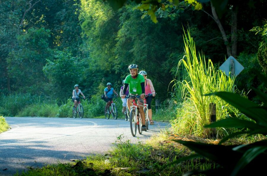 Chiang Mai Countryside E-bike Ride with Expert Guide & Lunch - The easy return: avoiding peak-hour traffic with a vehicle transfer