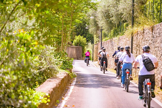 Chianti Hills E-Bike Tour with Tuscan Lunch & Two Wine Tastings - Who should book this Chianti e-bike tour from Florence?