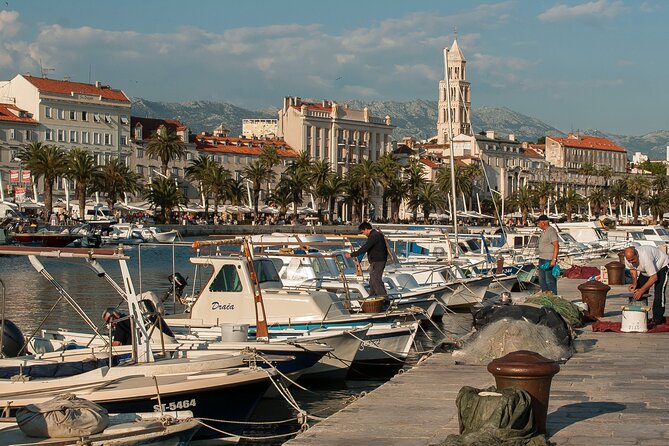 City Bike Tour of Split - Marjan Park Climb: Pine Shade, Marina Views, and the Best Panoramas
